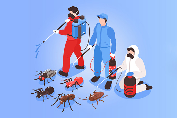 长沙消杀公司,四害消杀公司,除四害公司,守护者生物工程