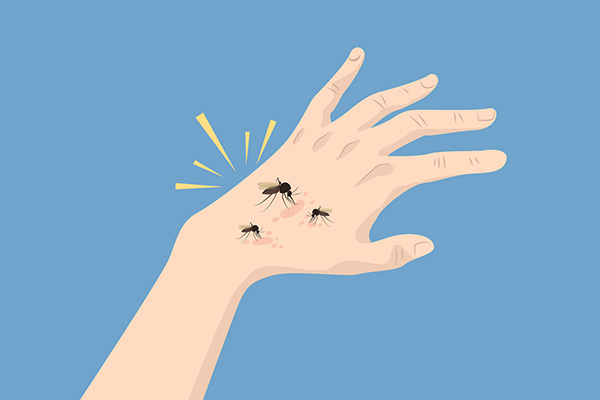 长沙灭蚊公司,长沙灭蚊子,蚊虫防治,守护者生物工程