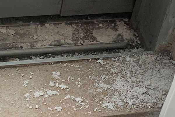 自建房为何要做好白蚁预防工作？科学防治具体该如何做？