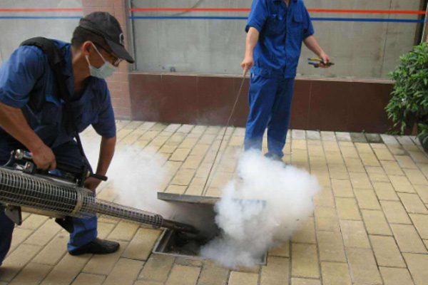 长沙消杀公司,四害消杀公司,除四害公司,守护者生物工程