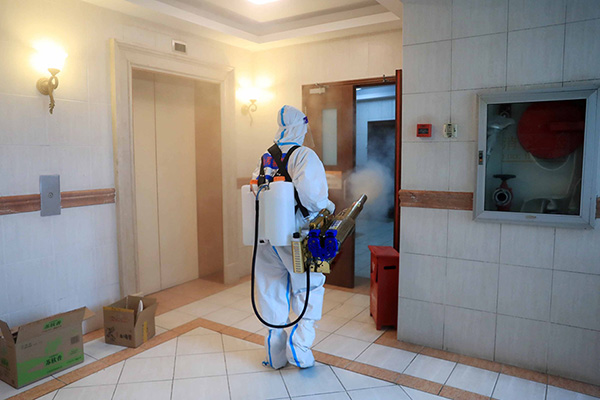 城市四害消杀面临哪些挑战？有效应对策略是什么？