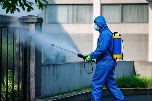 家庭常见害虫如何识别预防？专业防治方案助您构建健康屏障！