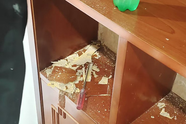 长沙白蚁防治,长沙灭白蚁,白蚁防治,守护者生物工程