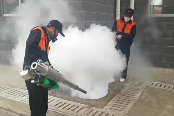 为何春季是蚊虫消杀好时机？专业消杀工作该如何实施？